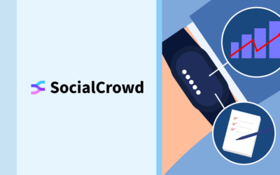 From Office to Arcade: SocialCrowd’s Radical Gamification of Employee Output